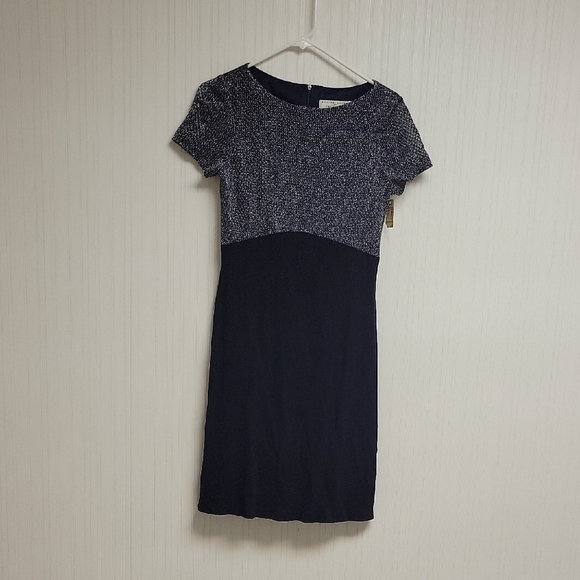 Andrea Polizzi For Rex Lester Dresses & Skirts - Andrea Polizzi For Rex Lester, Navy & Silver Slinky After 5 Dress, Women's 8 New